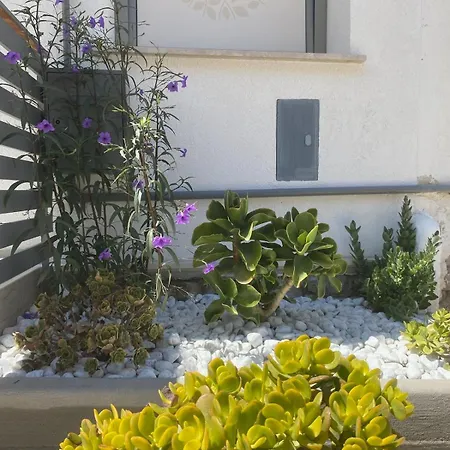 Nocleg ze śniadaniem Fiori Di Quercia Carini